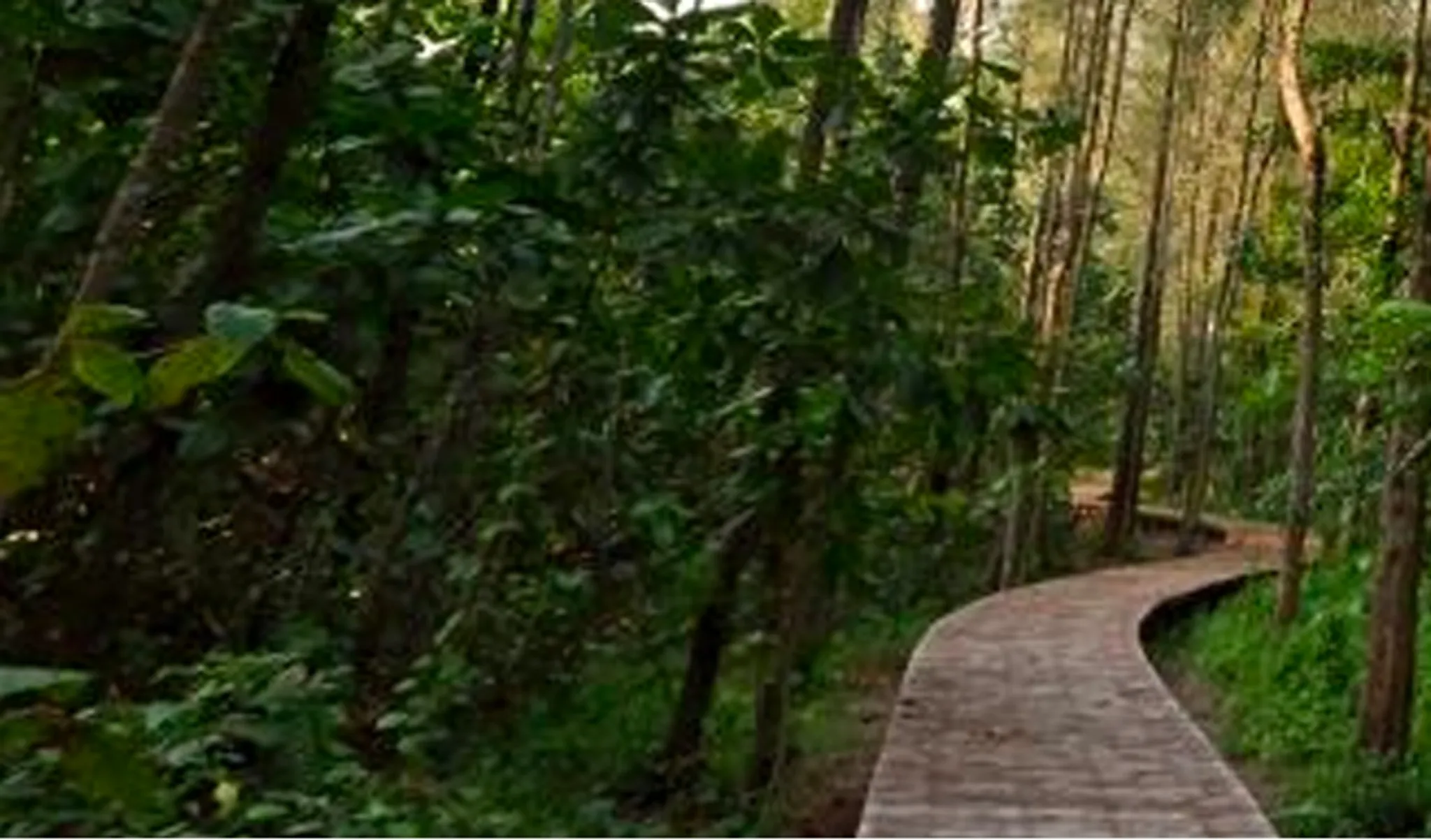 BioBlitz for Schools