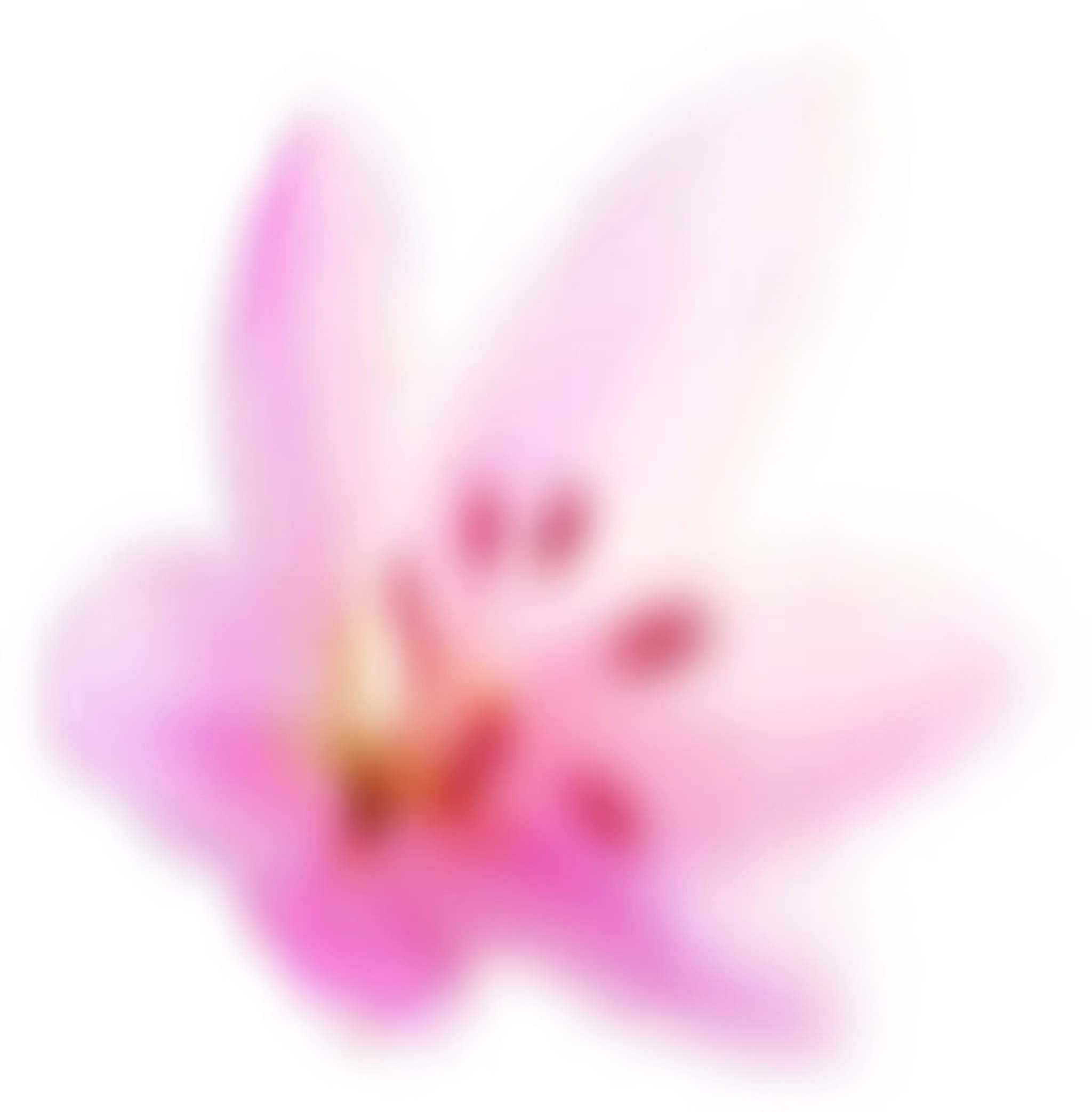 Carla Conde Mind-Body Therapies