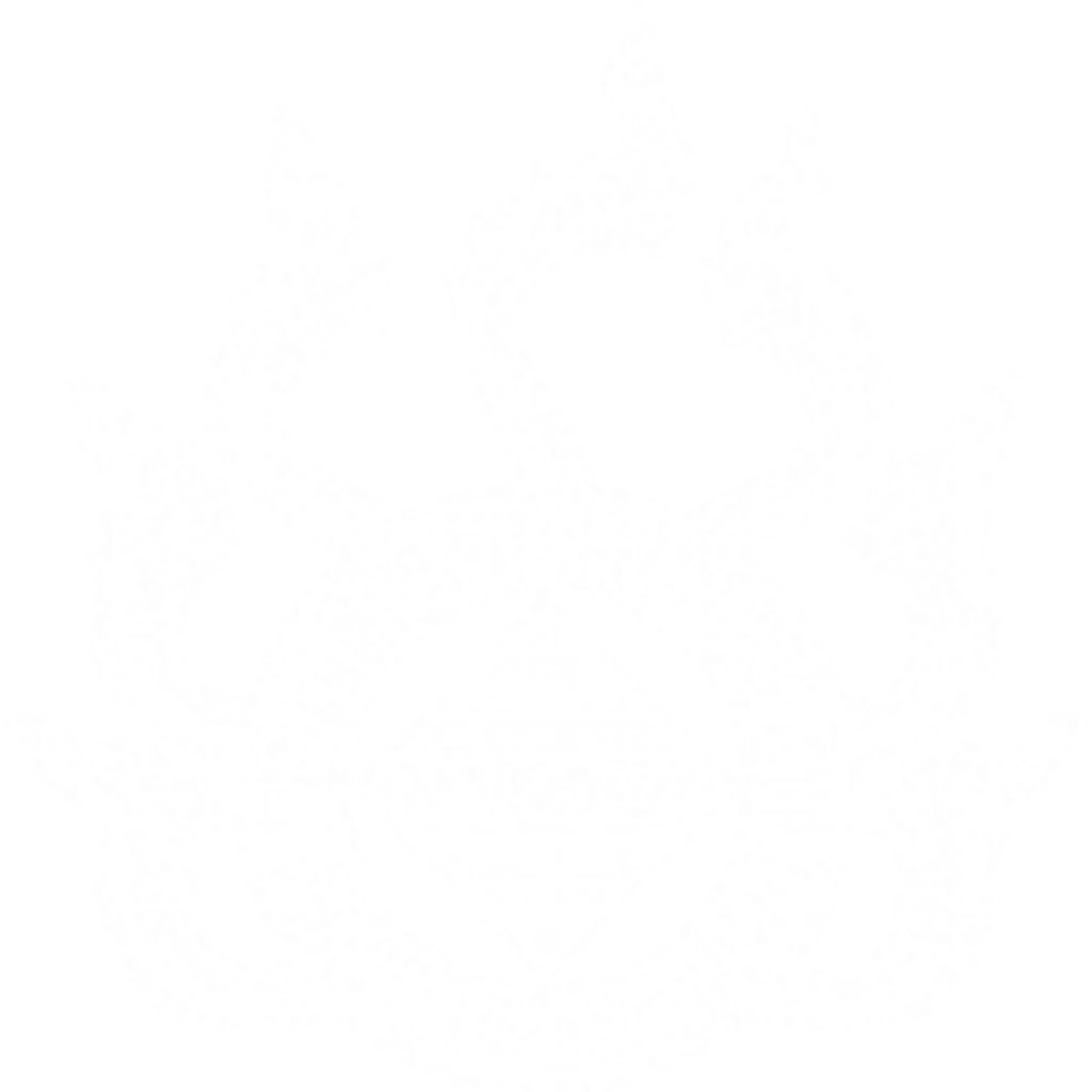 Chao Phraya Muay Thai Academy