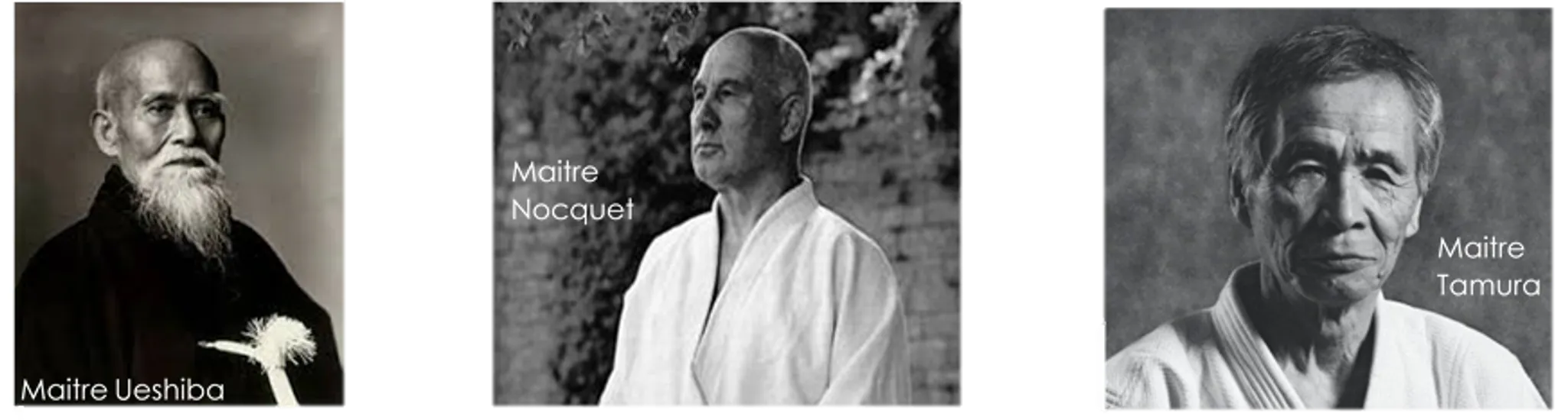 Aïkido Club de Guyancourt - Kannagara