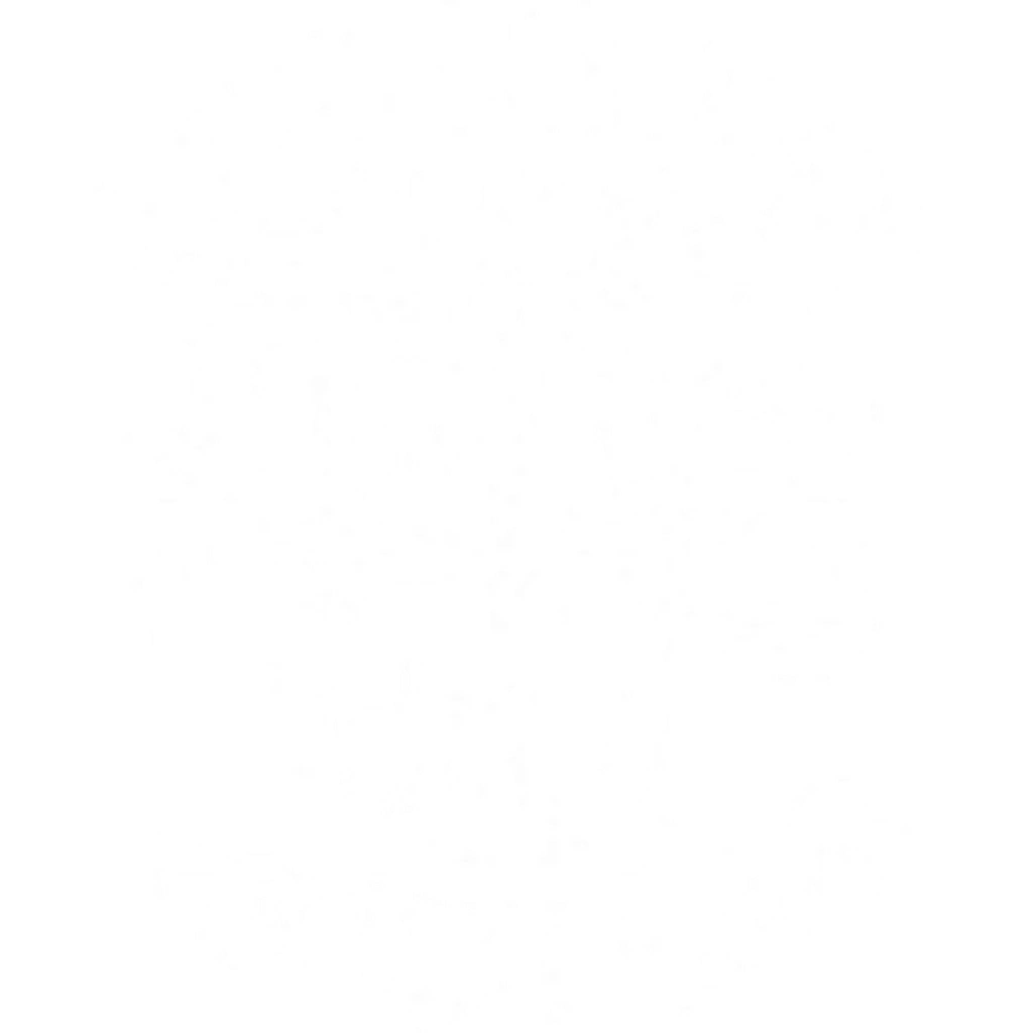 New Forest Polo Club