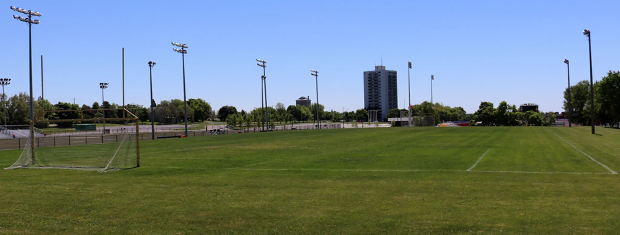 Summer 2024 Softball League