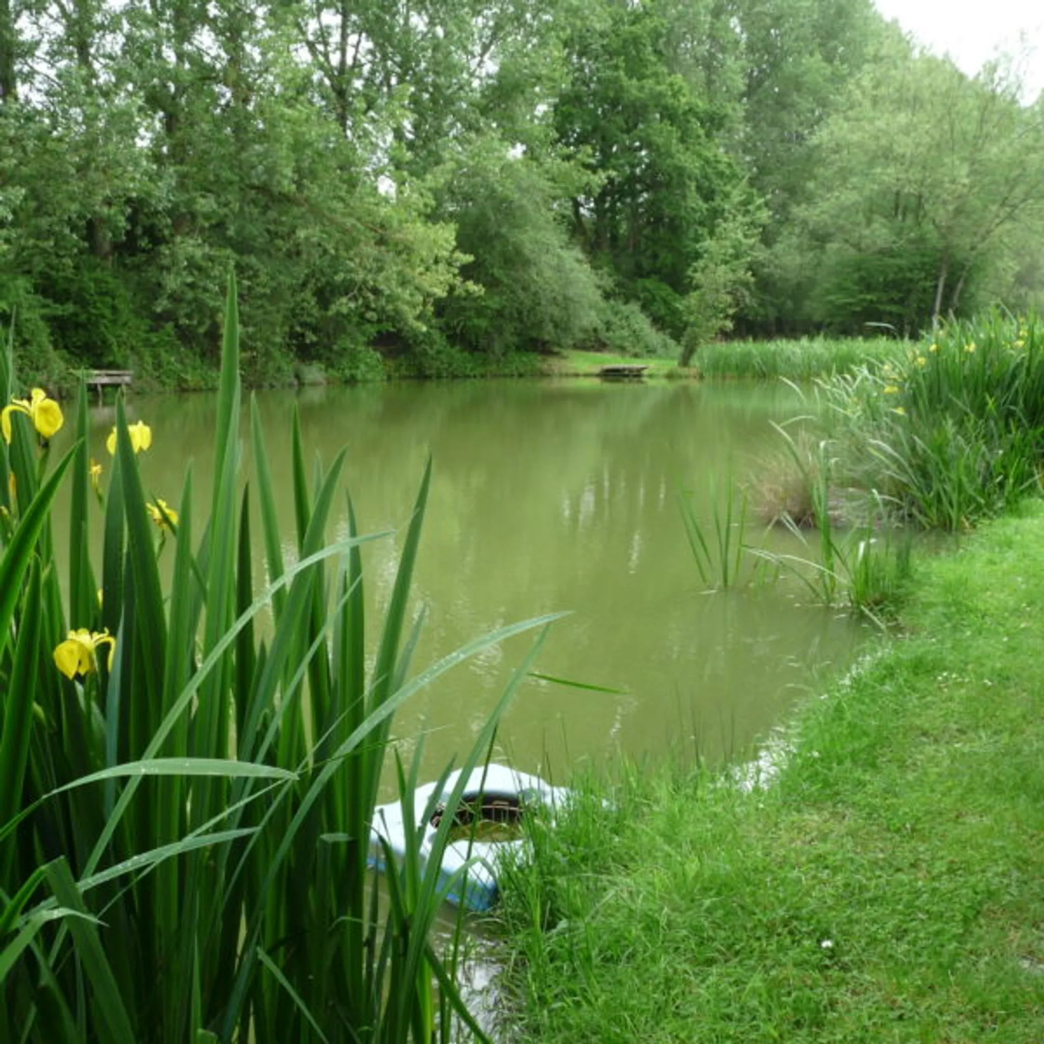 Butlers Hill Fishery