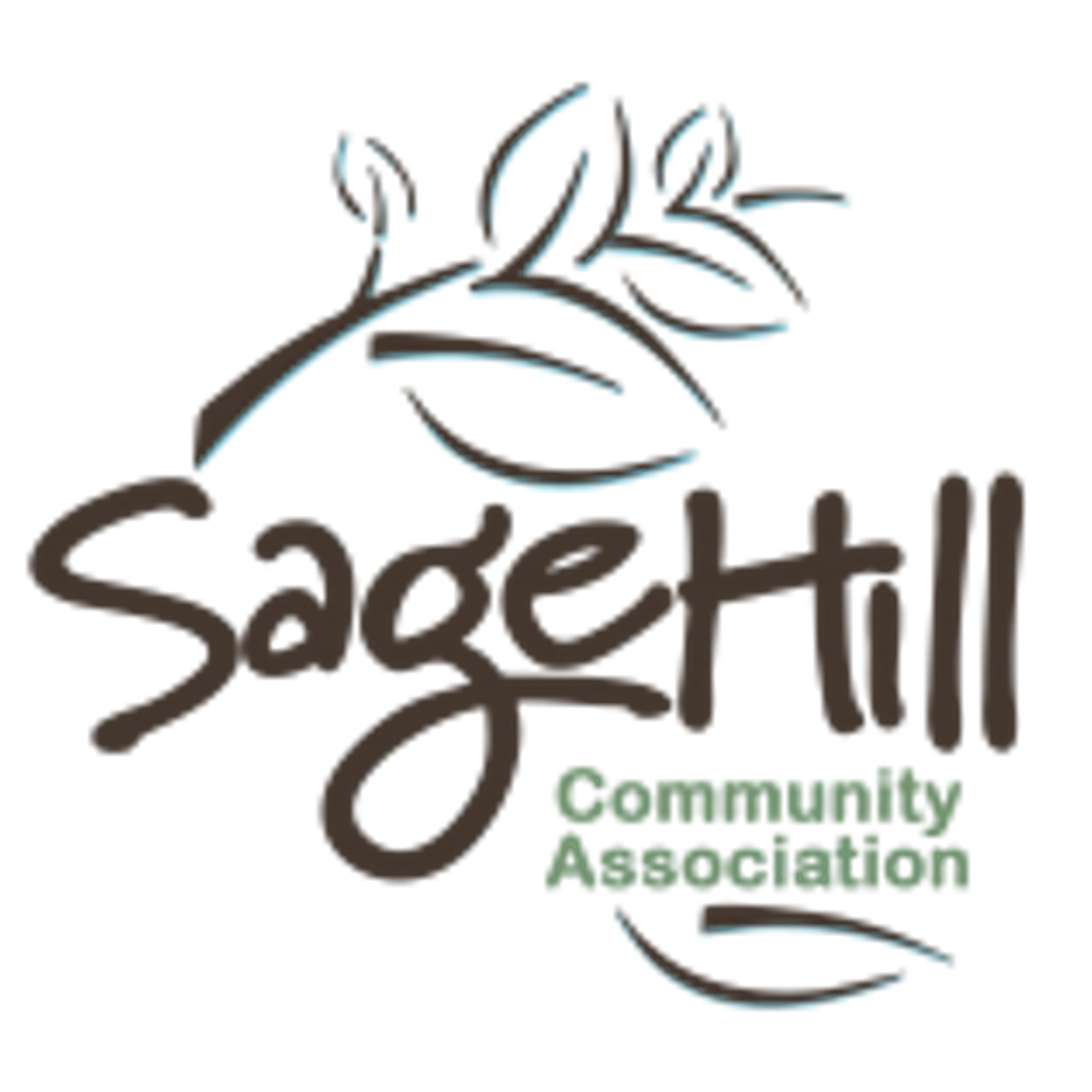 Sage Hill Outdoor Ice Rink