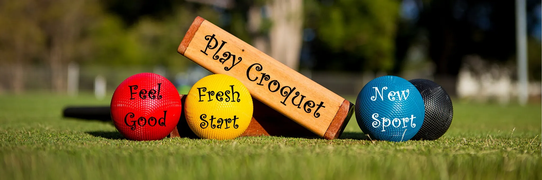 Croquet for all