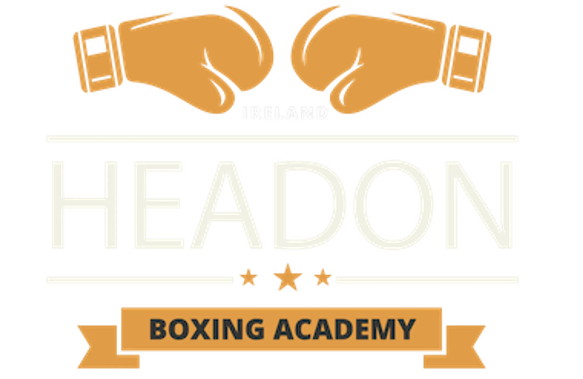 Headon Boxing Academy Leopardstown