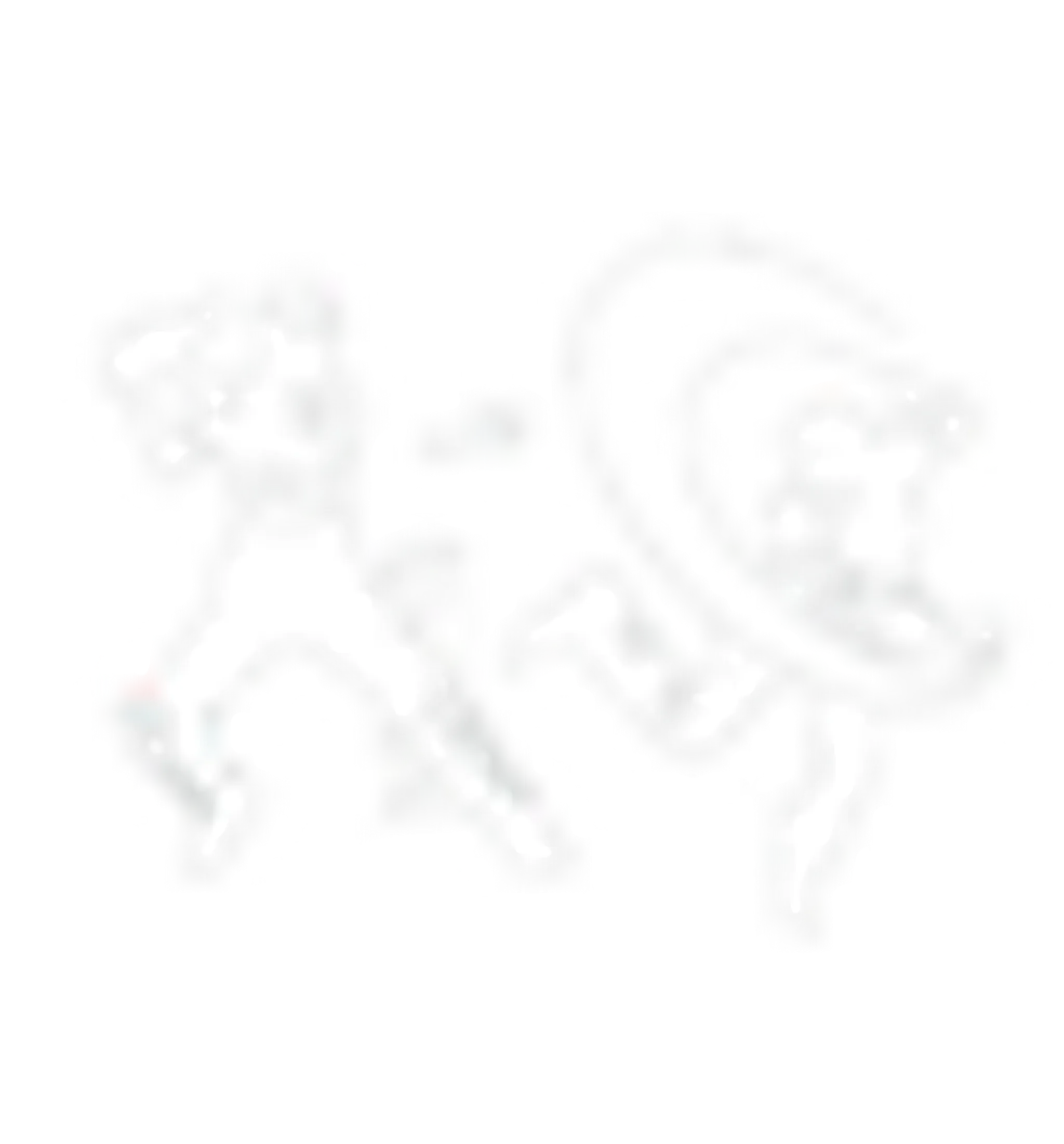 Manly Warringah Cricket Coaching School