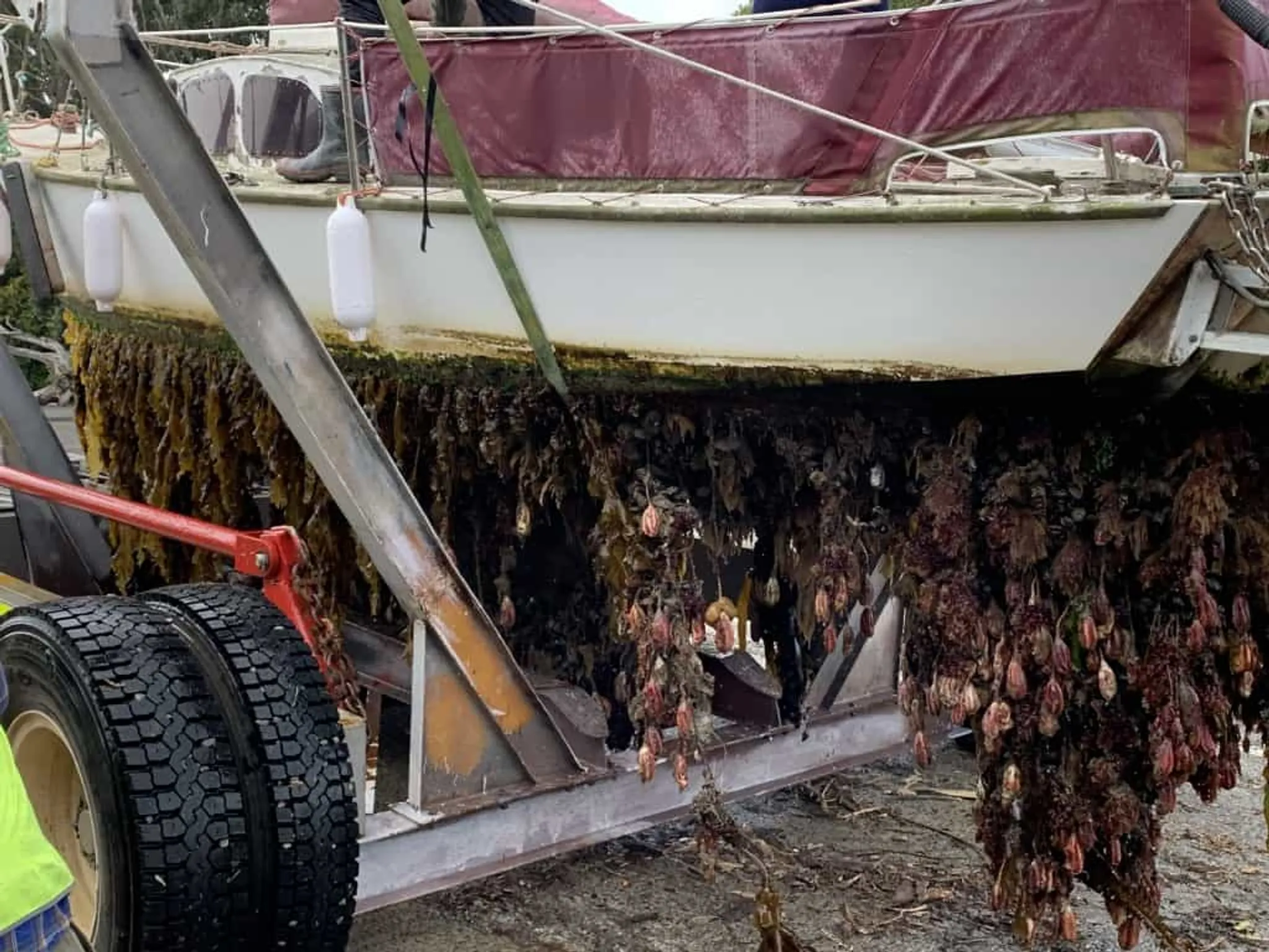 Learn to Sail - Level One - Start Sailing Course