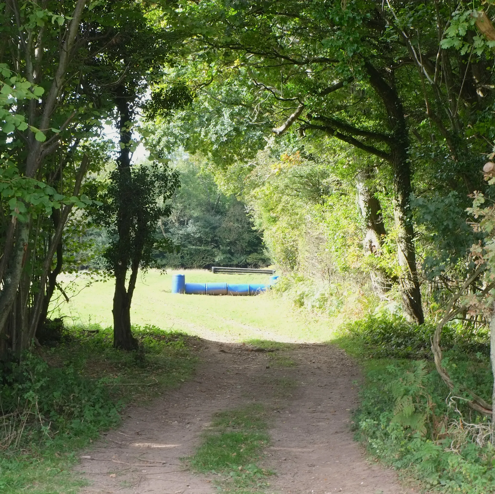 Compton Cross Country Course