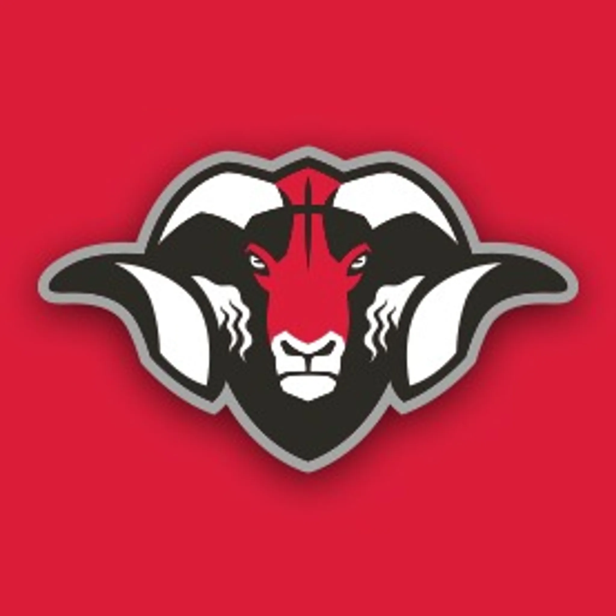 Hamilton Rams 3X3 Basketball Club