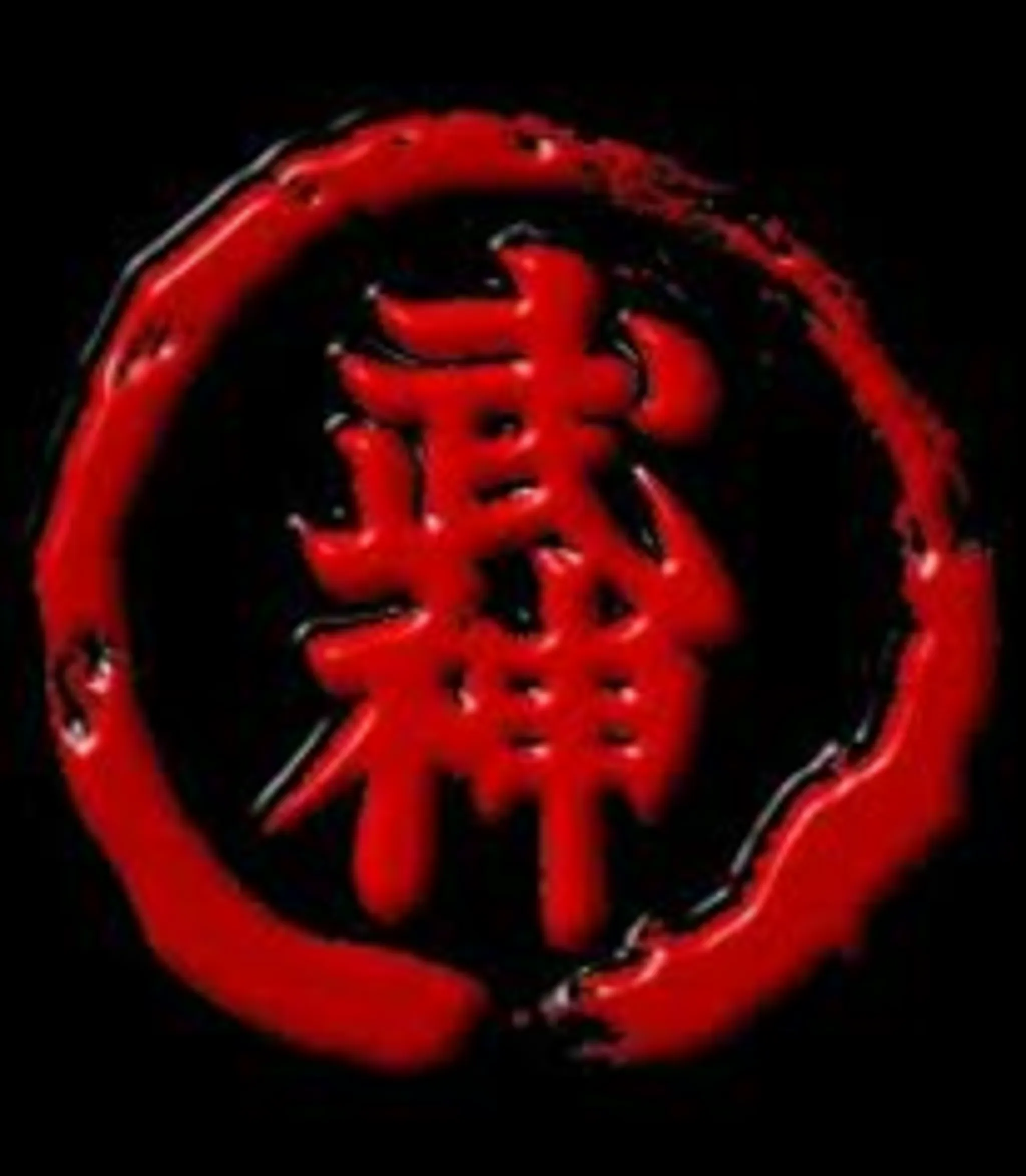 Bujinkan Shinken Dojo. Adults and kids Martial Arts