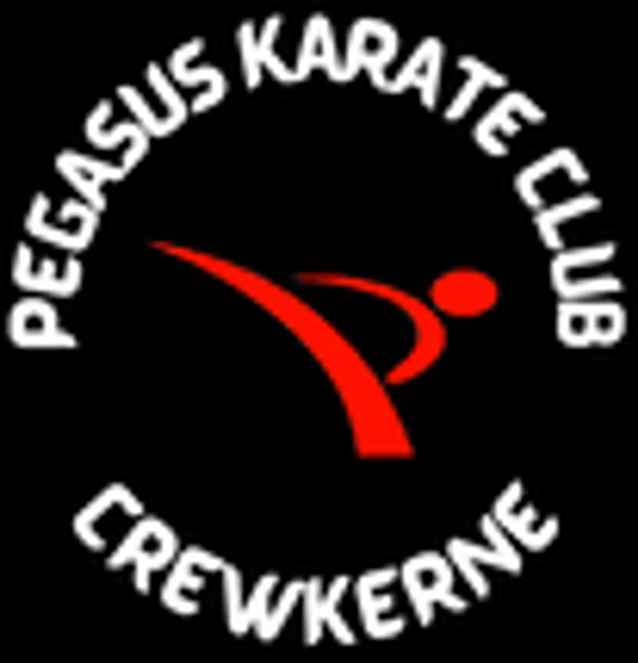 Crewkerne Pegasus Karate Club