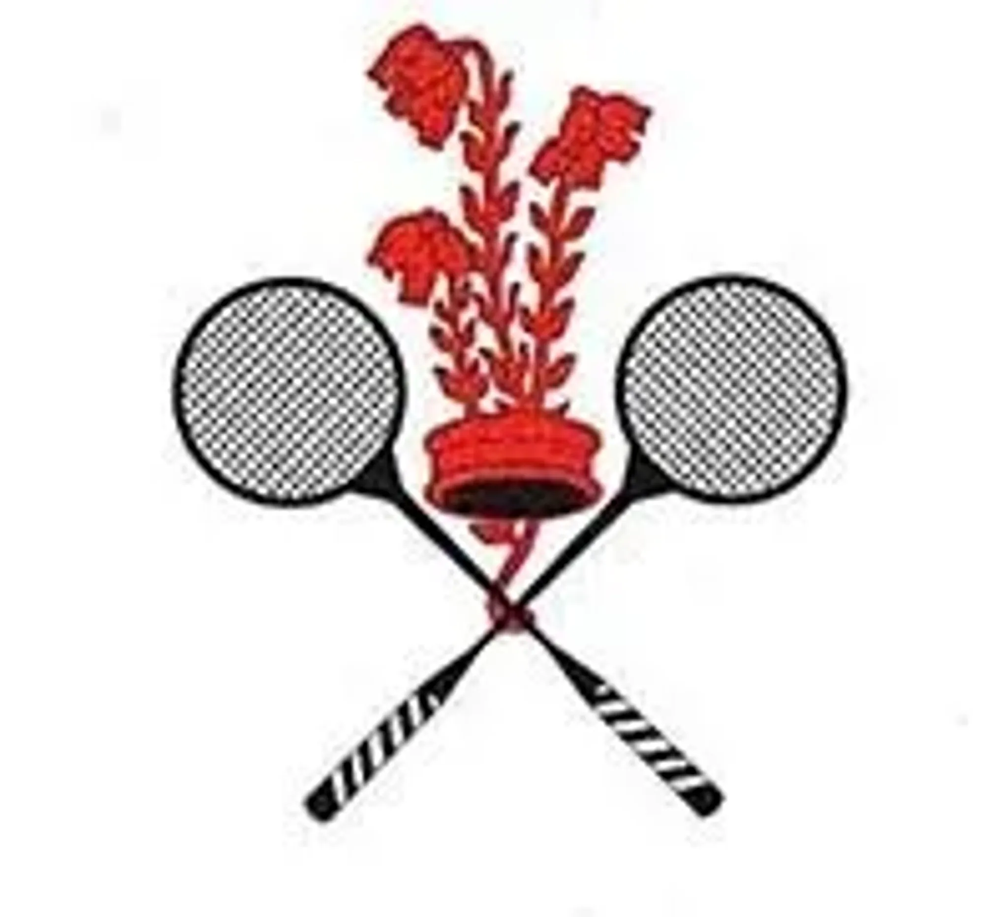 Blackheath Squash Club Re-Development