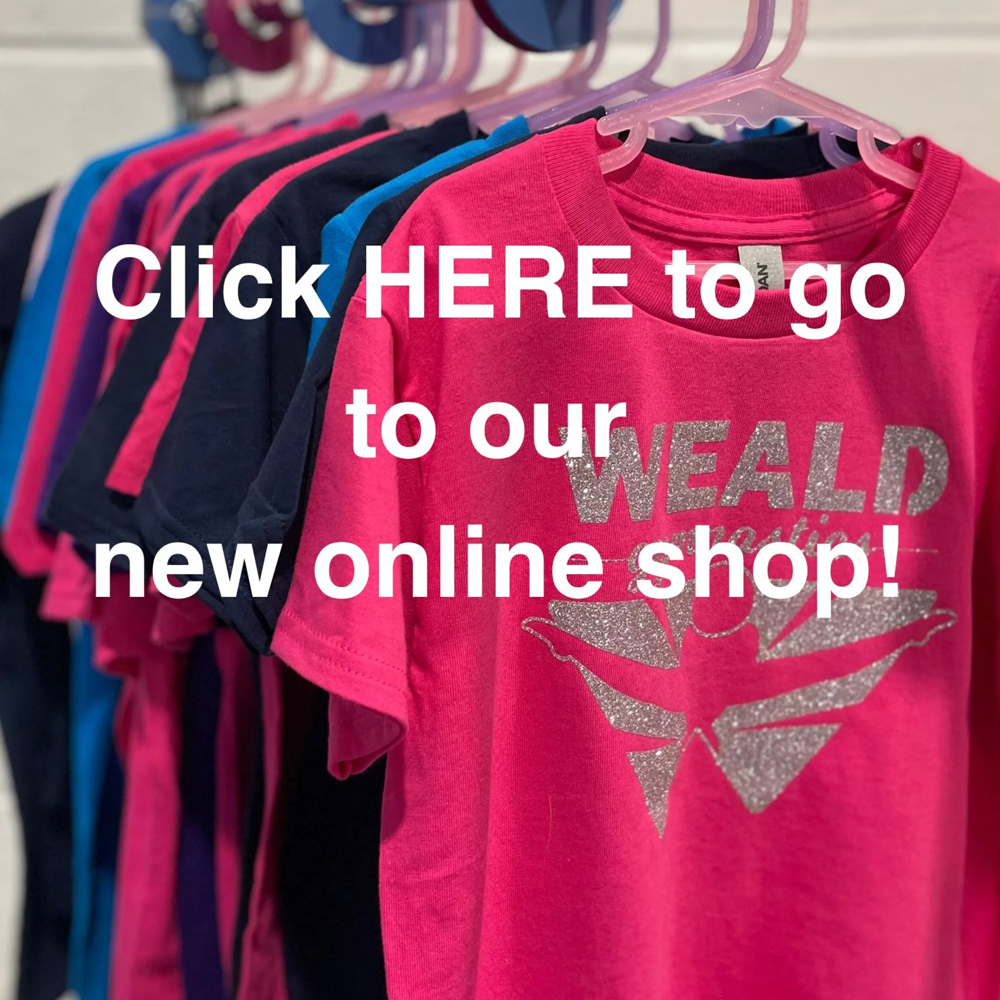 Weald Gymnastics Centre