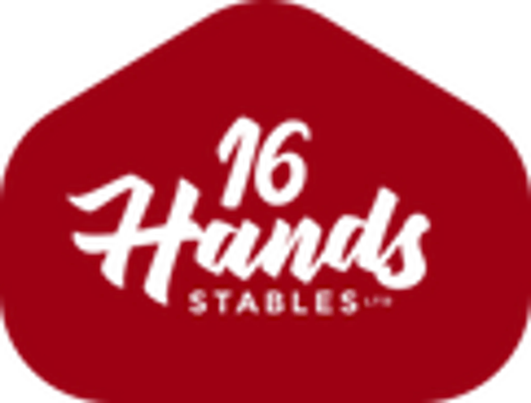 16 Hands Stables Ltd