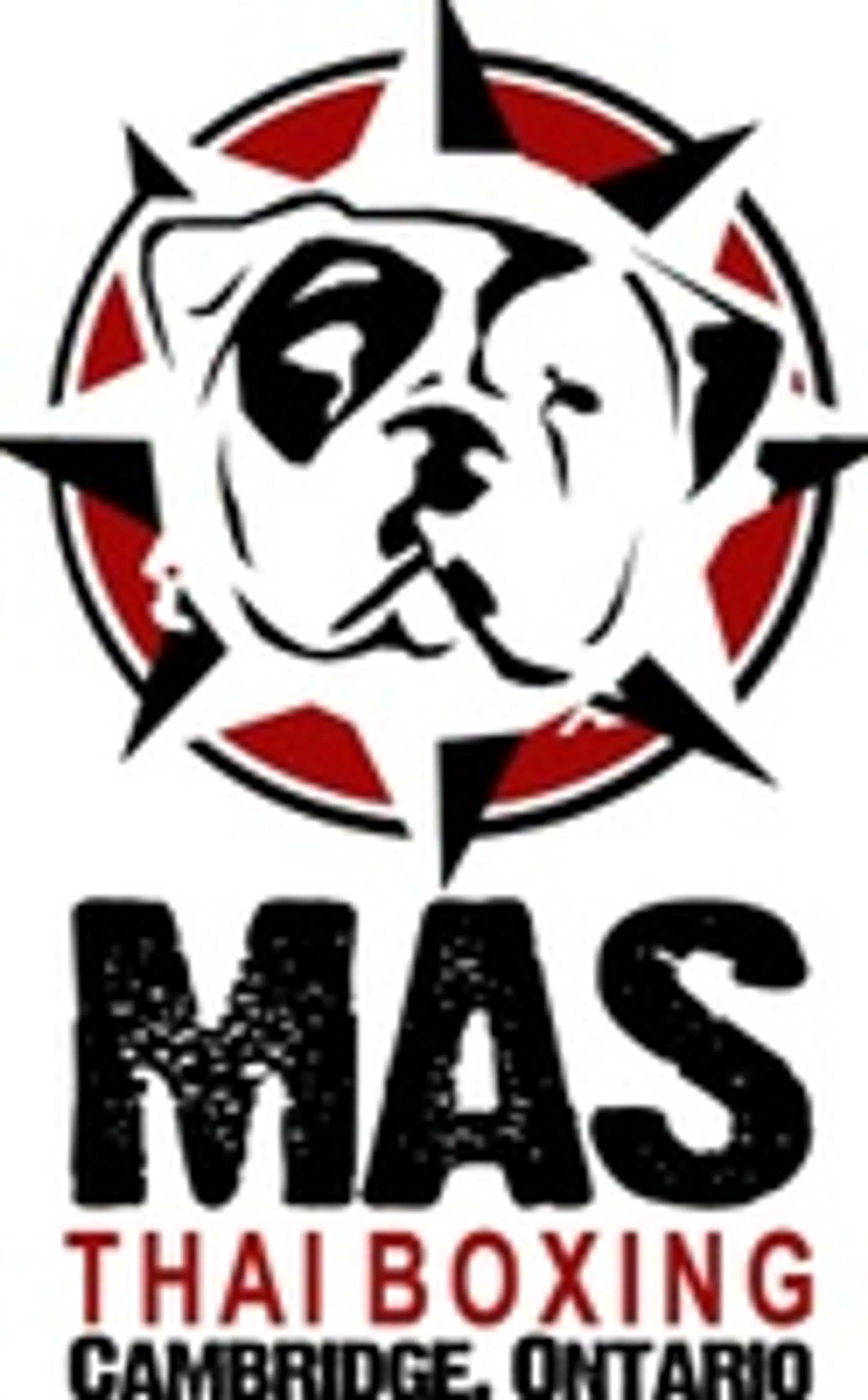 Mas Academy of Martial Arts