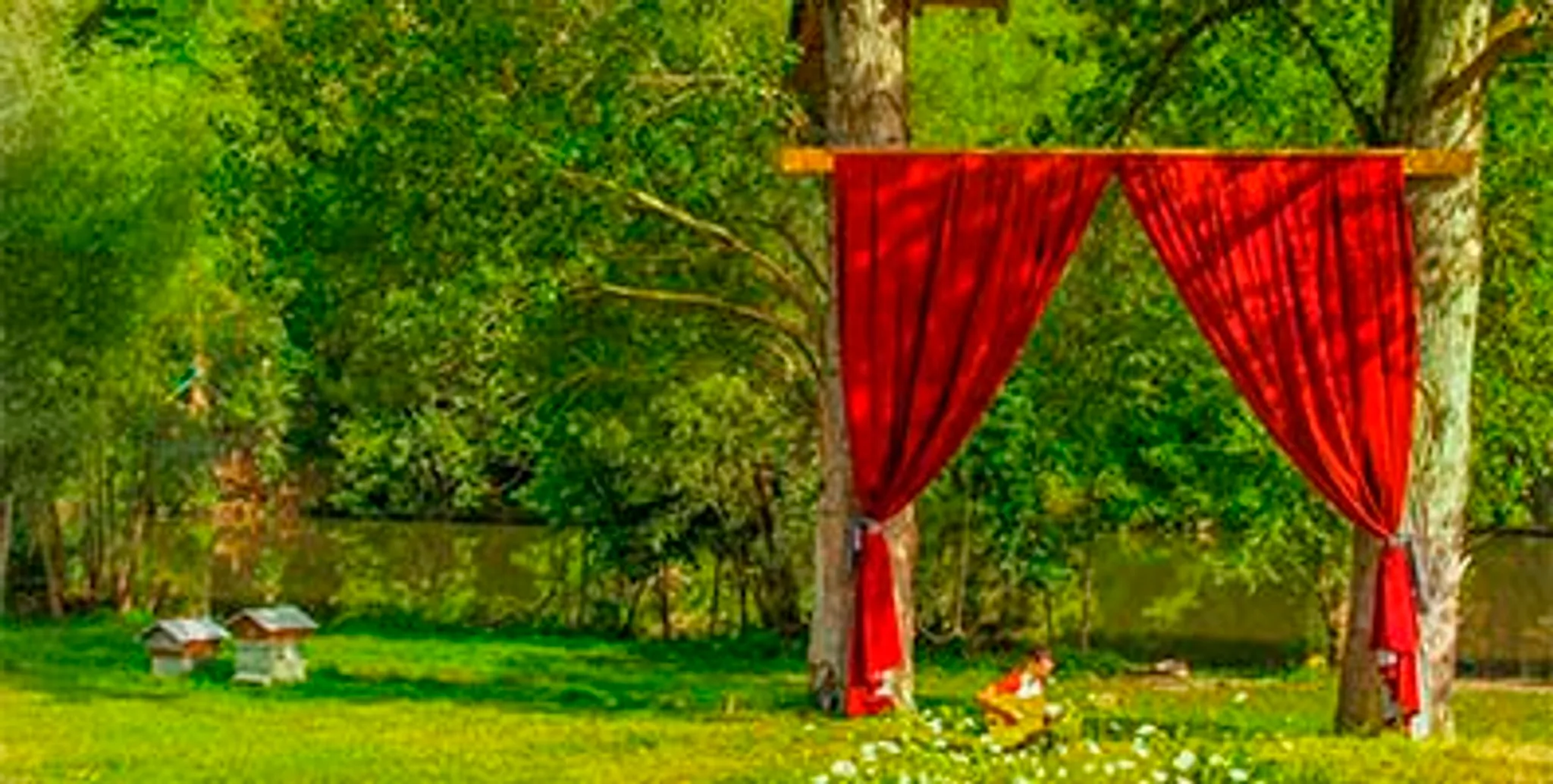 CosyCamp - Tree House