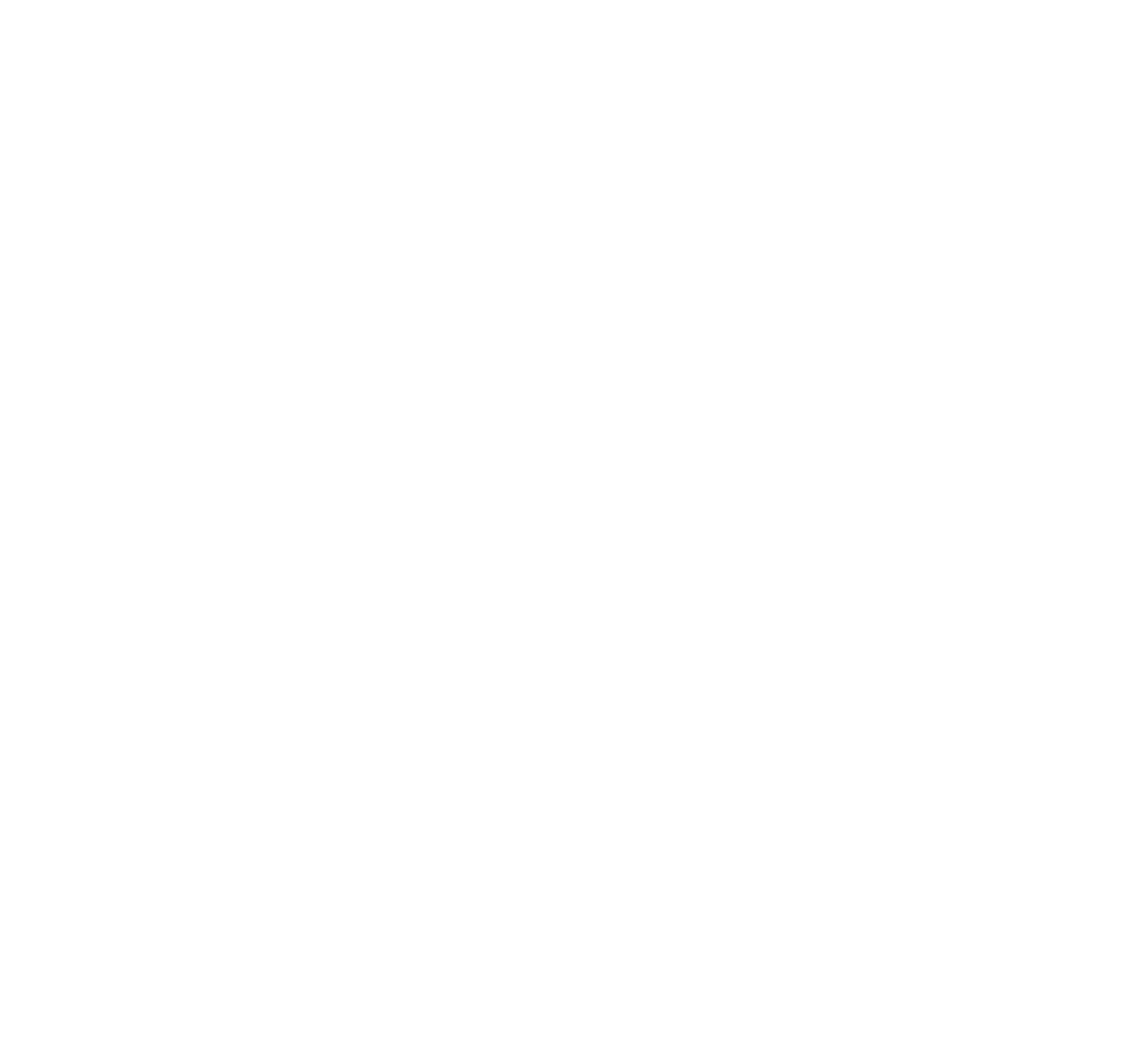 hant arena bratislava