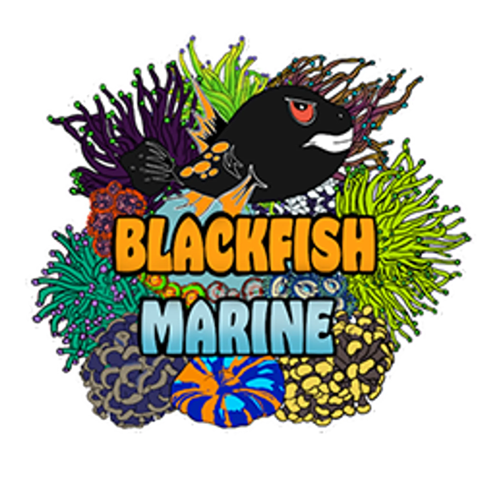Blackfish Marine ltd