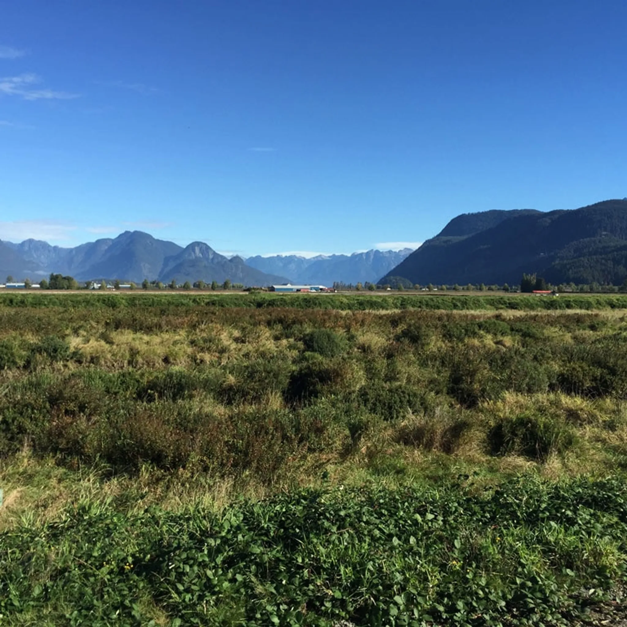 Leghorn Ranch Horseback Trail Rides