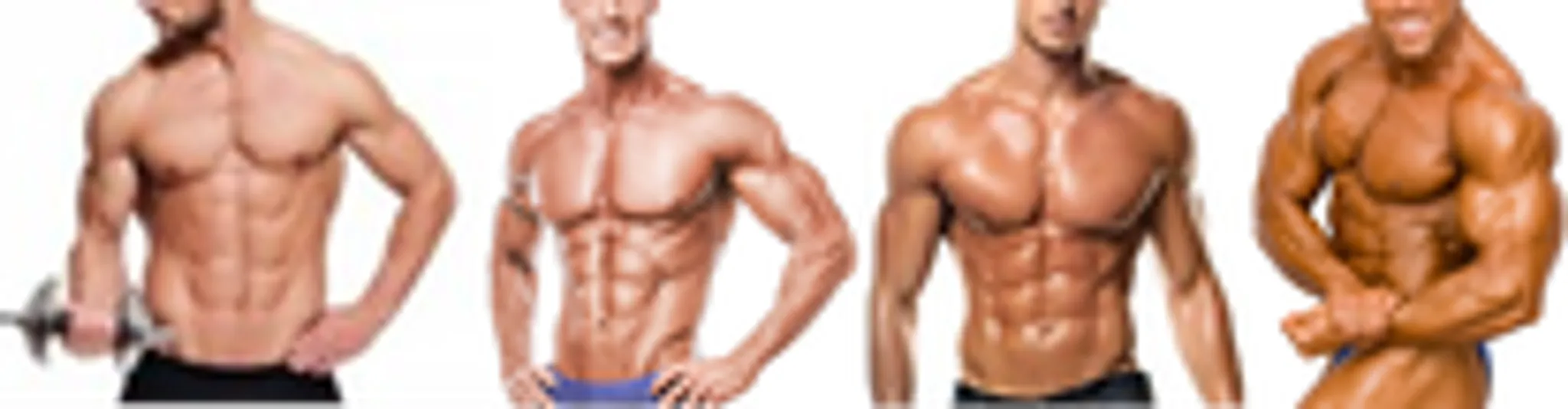 Body Creation Fitness