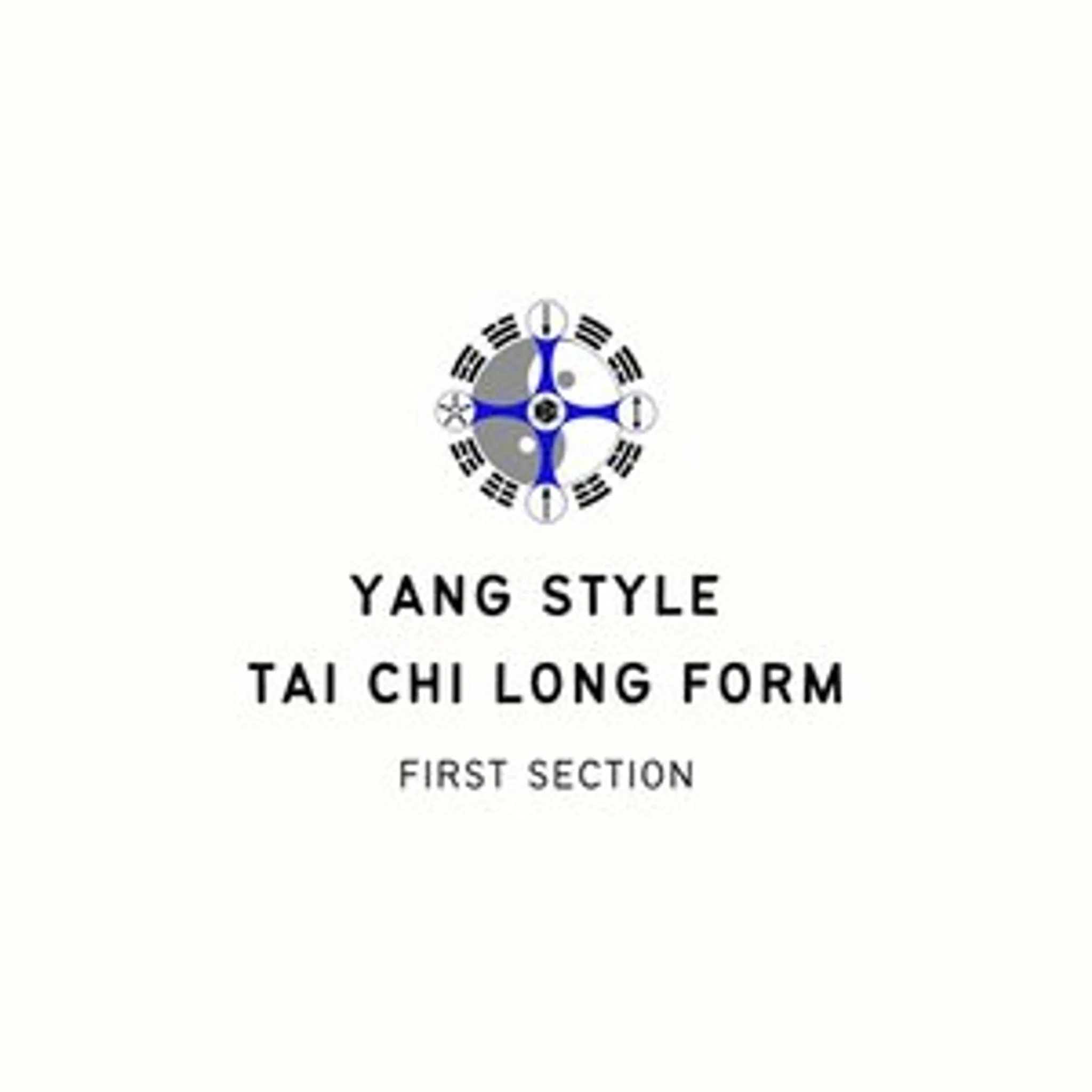 Paul Cavel - The Tai Chi Space