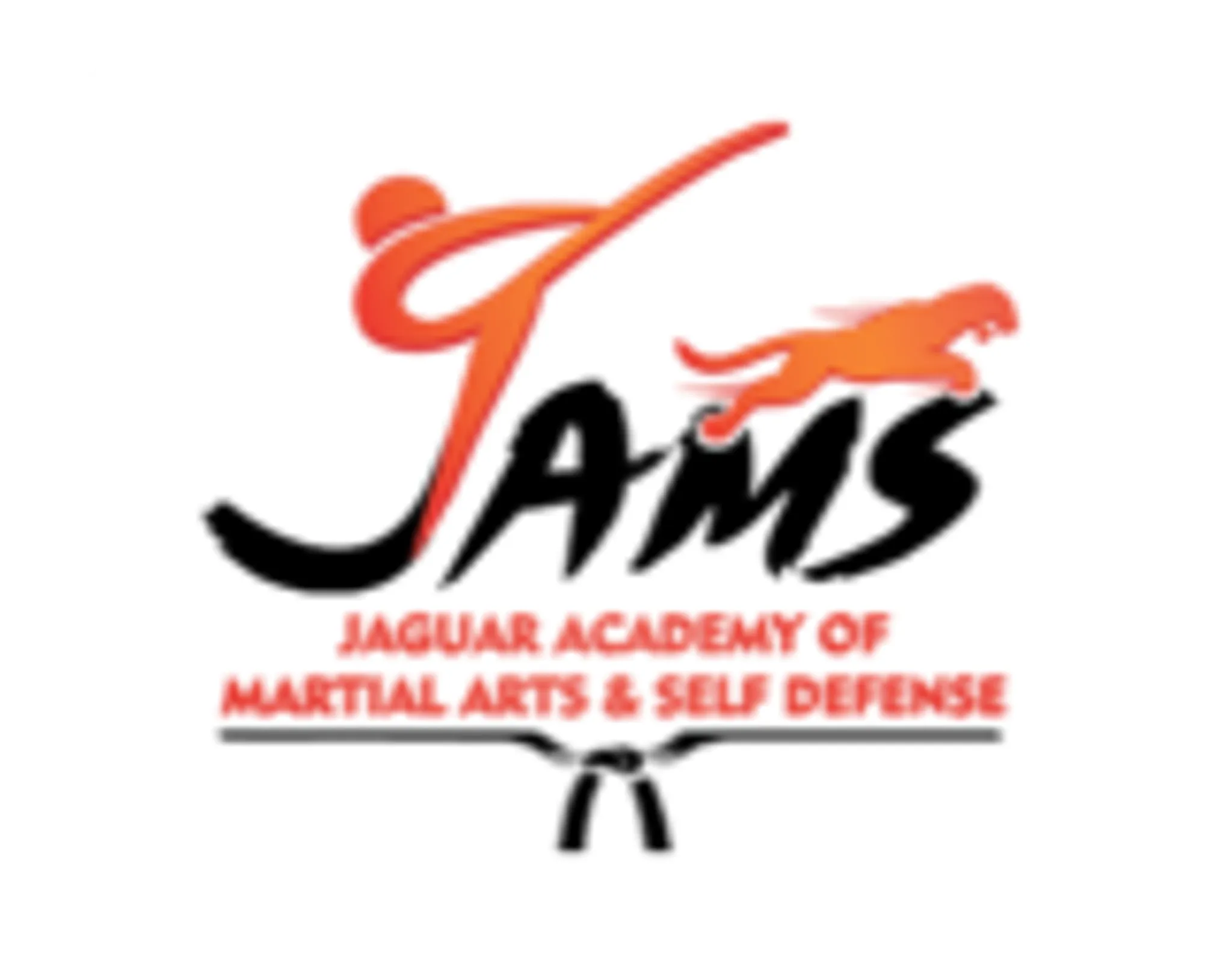 Jaguar Academy of Martial Arts and Self Defense