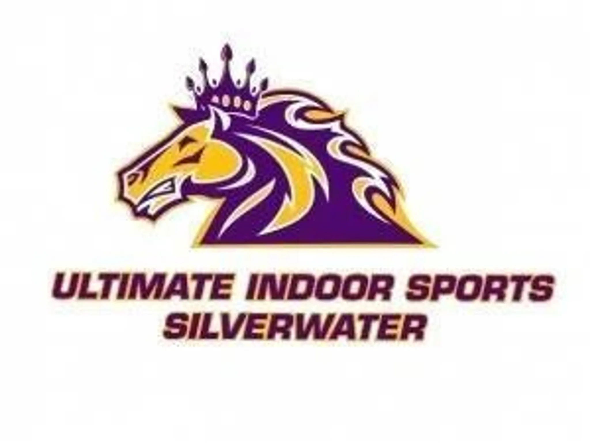 Ultimate Indoor Sports Silverwater