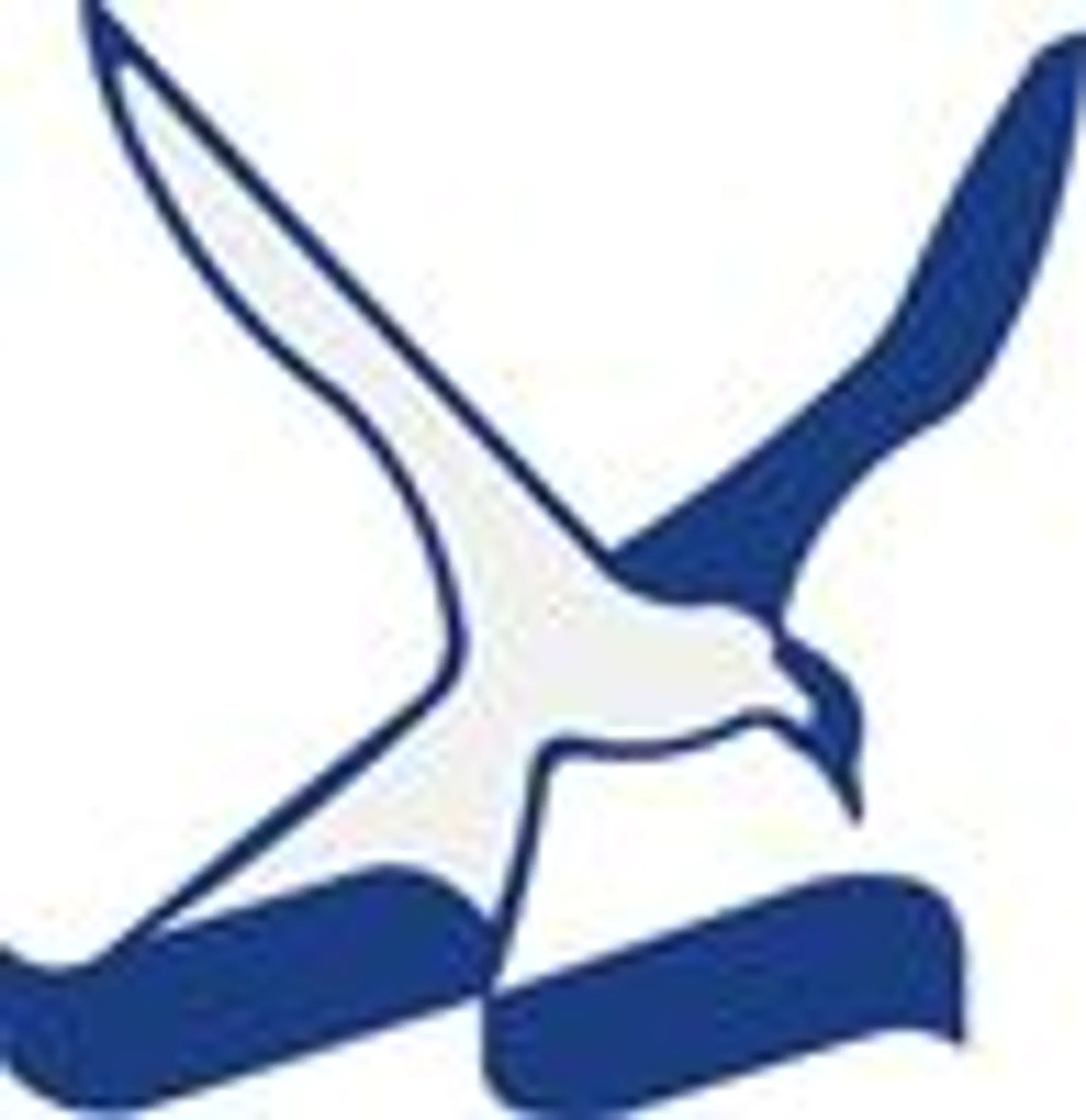 Noarlunga Master Swimmers