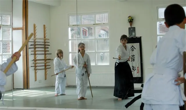 Paolo Corallini Sensei Seminar