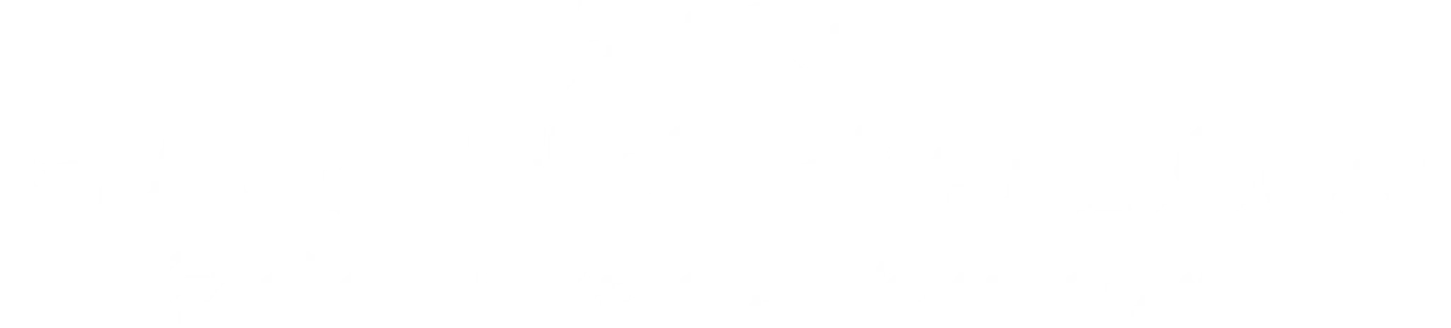 Starr Gymnastics & Parkour