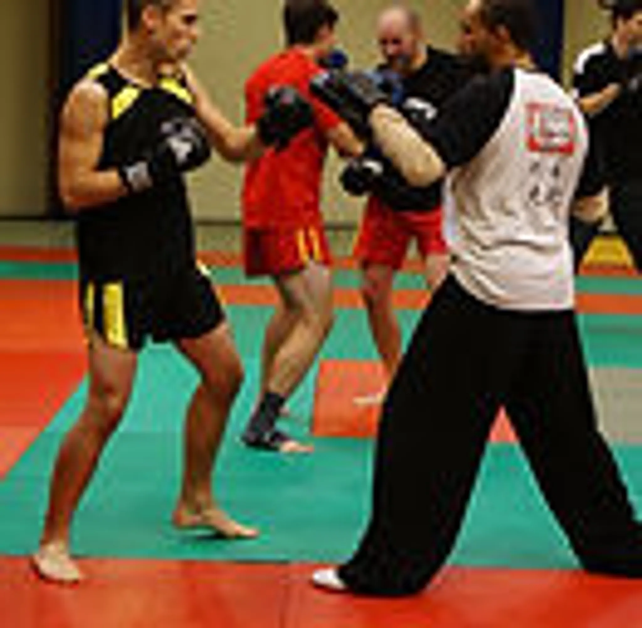 Bordeaux Mantis Boxing