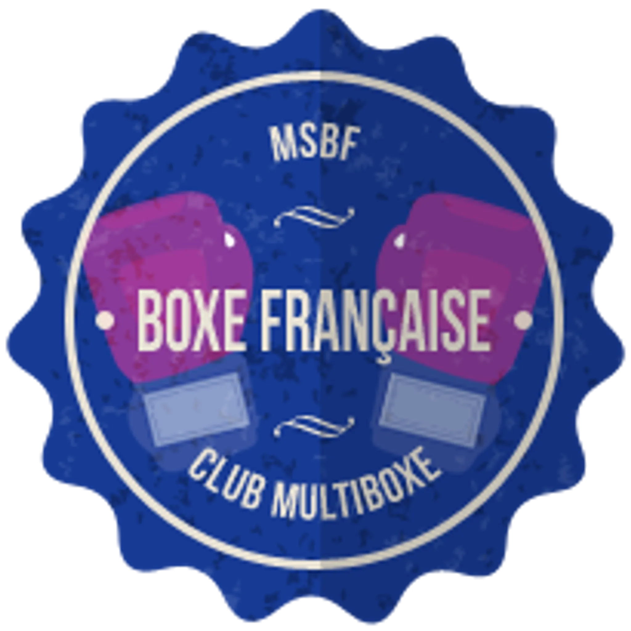 Montpellier Savate Boxe Francaise