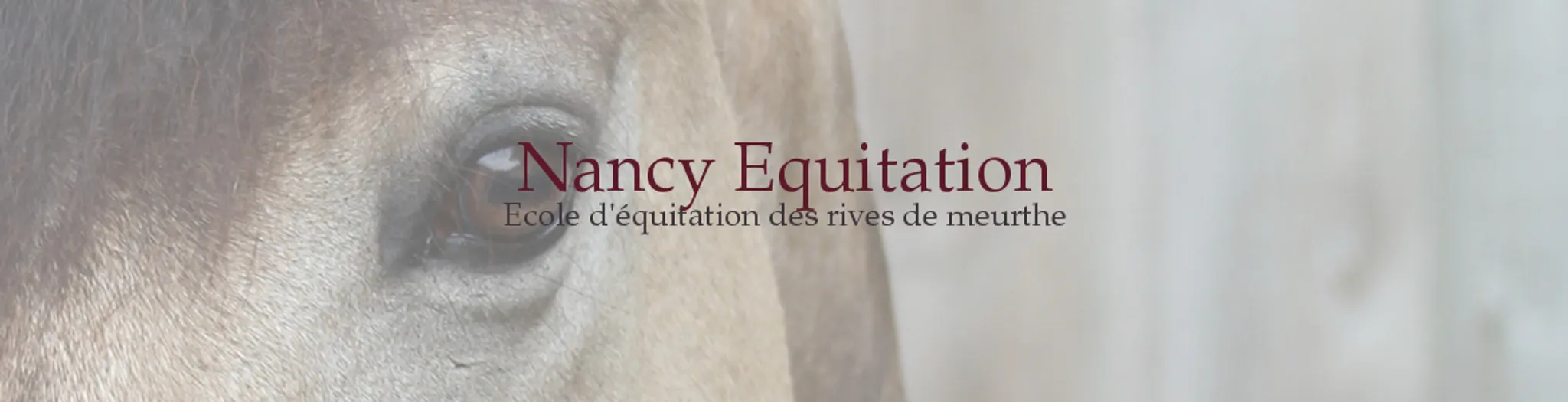 Ecole d'équitation des Rives de Meurthe