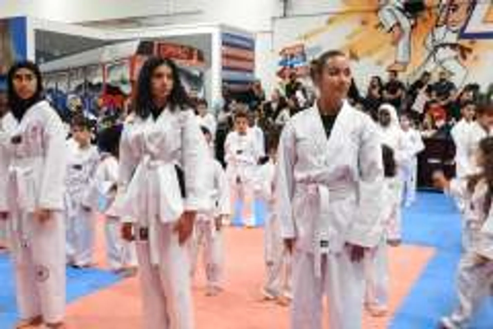 Olympic Martial Arts Centre