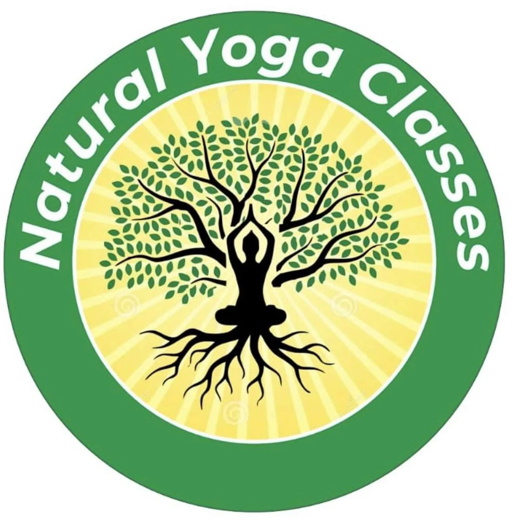 VY Yoga & Dance by Natural Yoga Classes