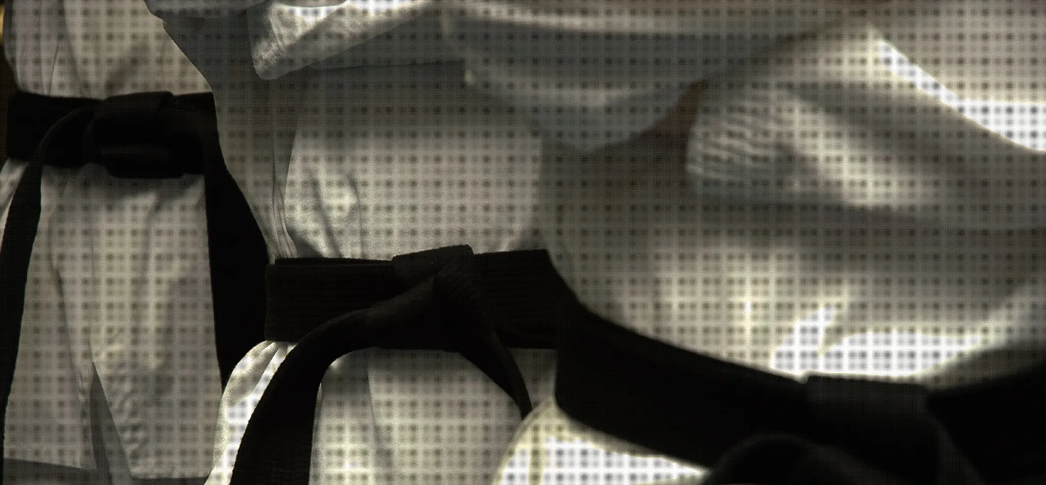 Elite Martial Arts Classes