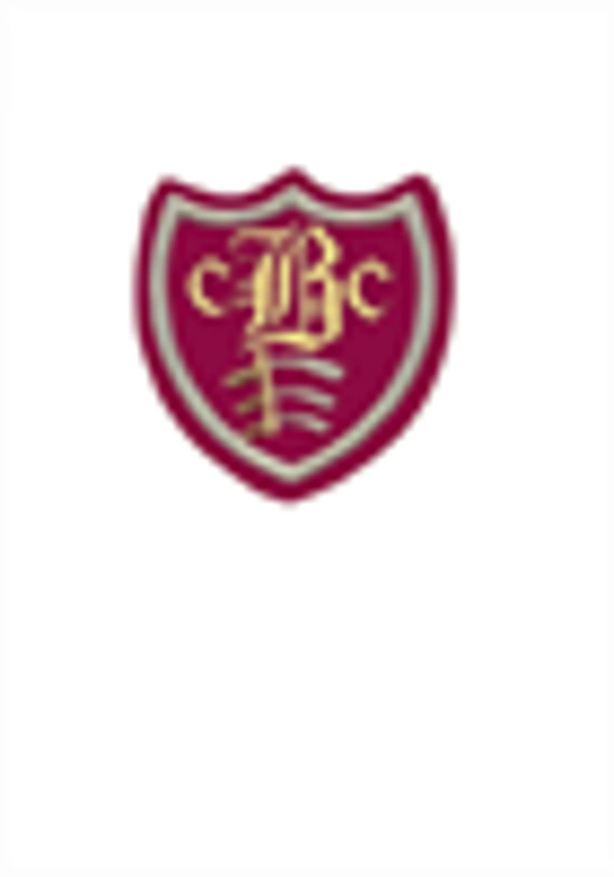 Barking Cricket Club