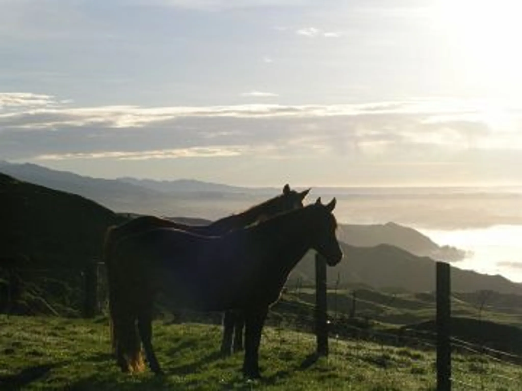 Timeless Horse Treks