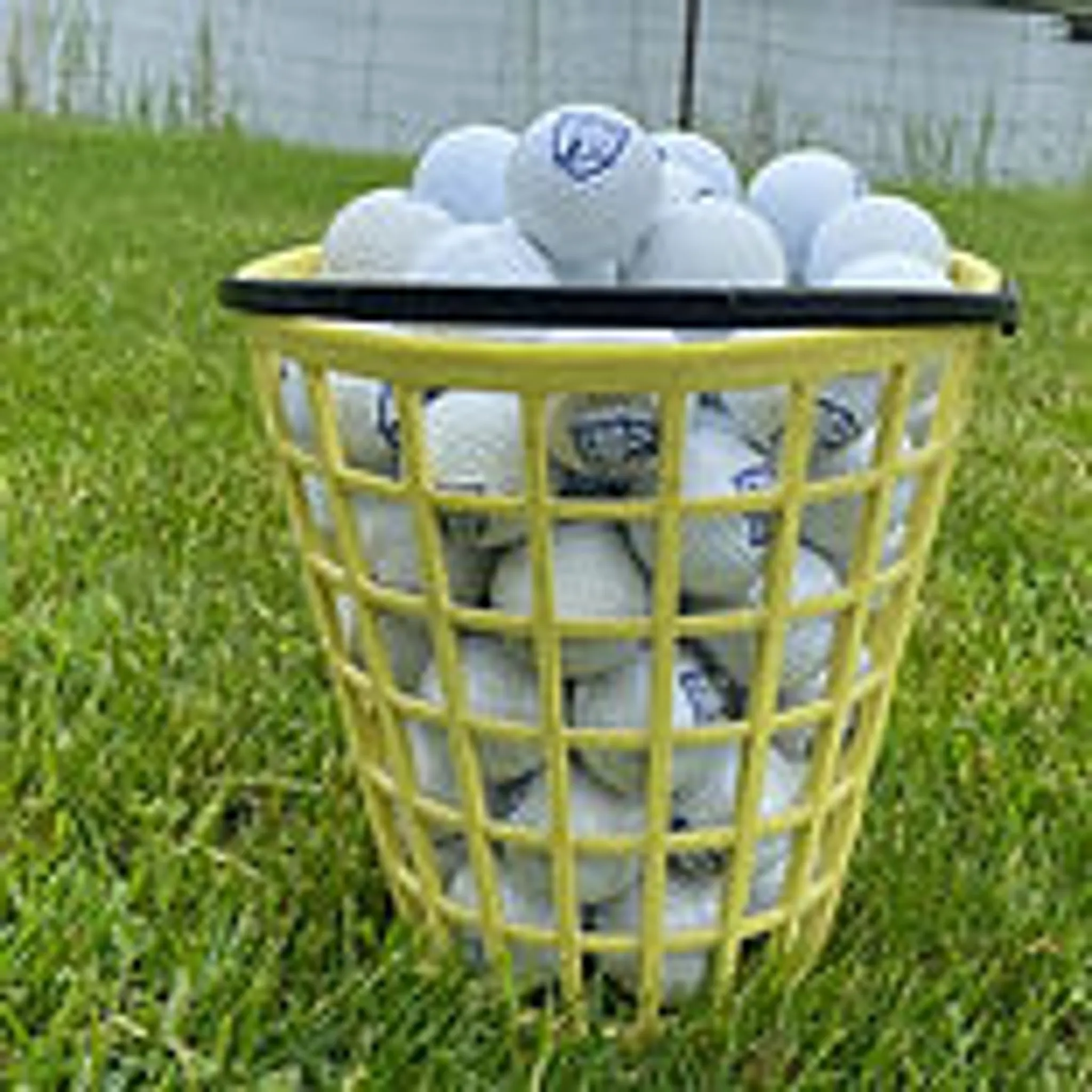 Kingston Expert Tees