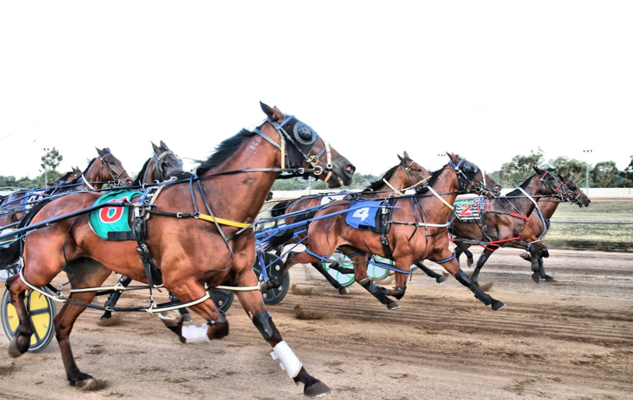 Temora Pacers Cup