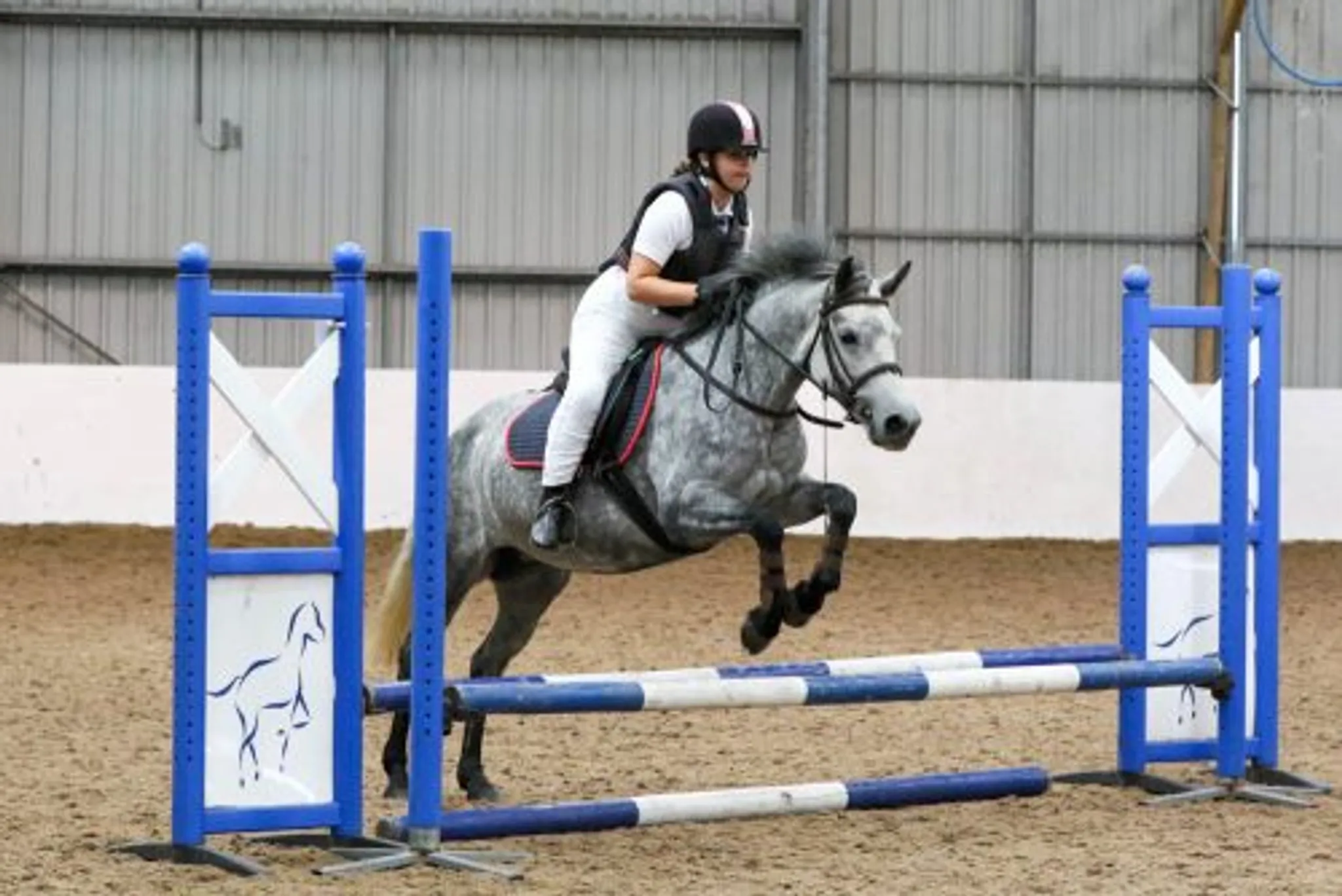 Quob Stables Hampshire Equestrian Centre