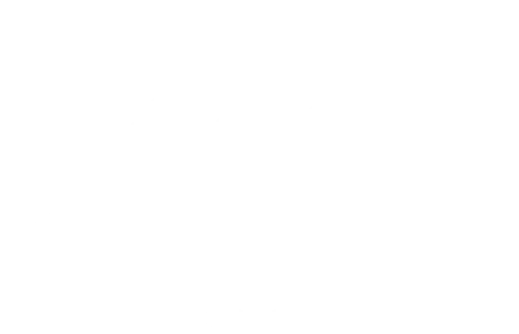 Momentum Collective