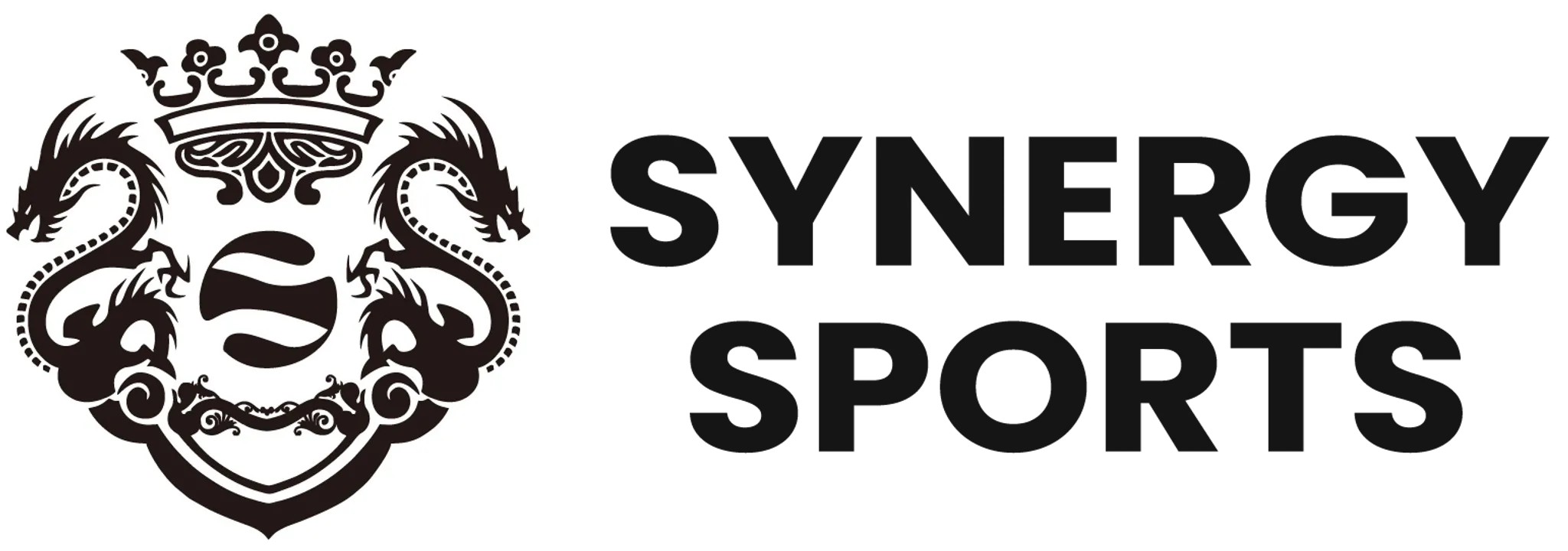 Synergy Sports (Indoor Sports Center)