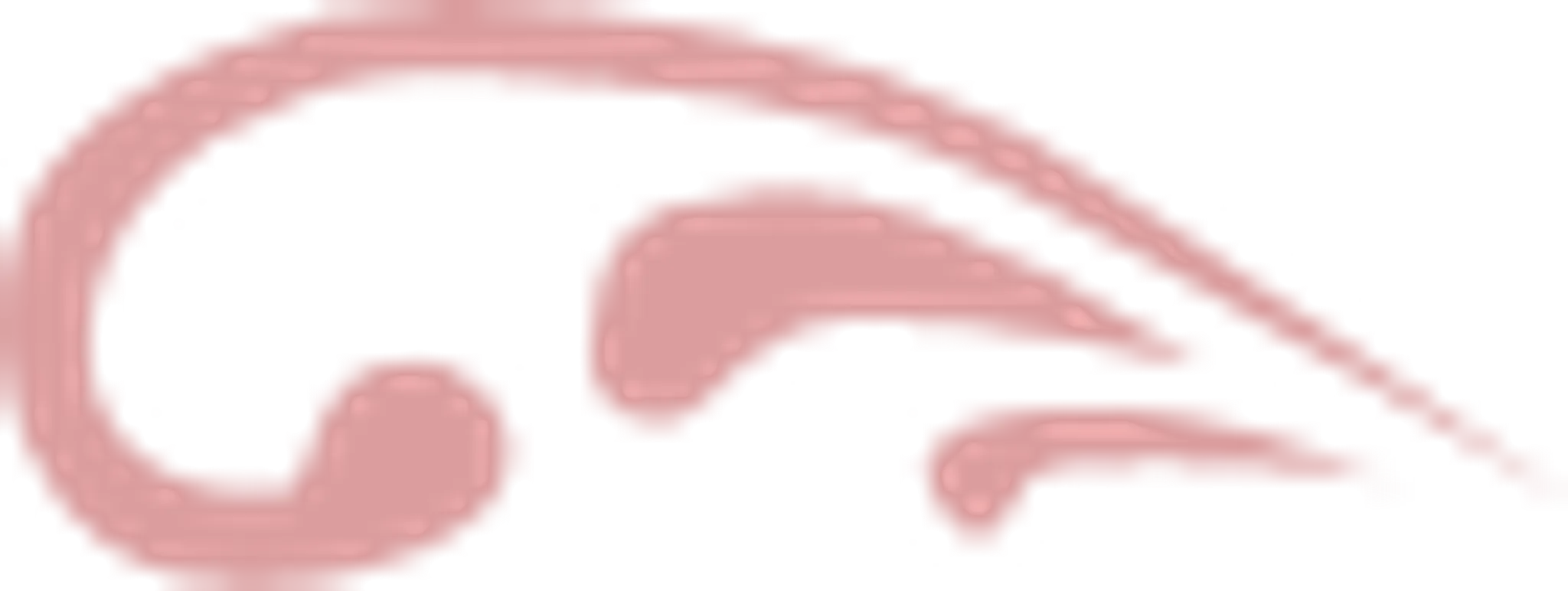 Skelton Dance Academy