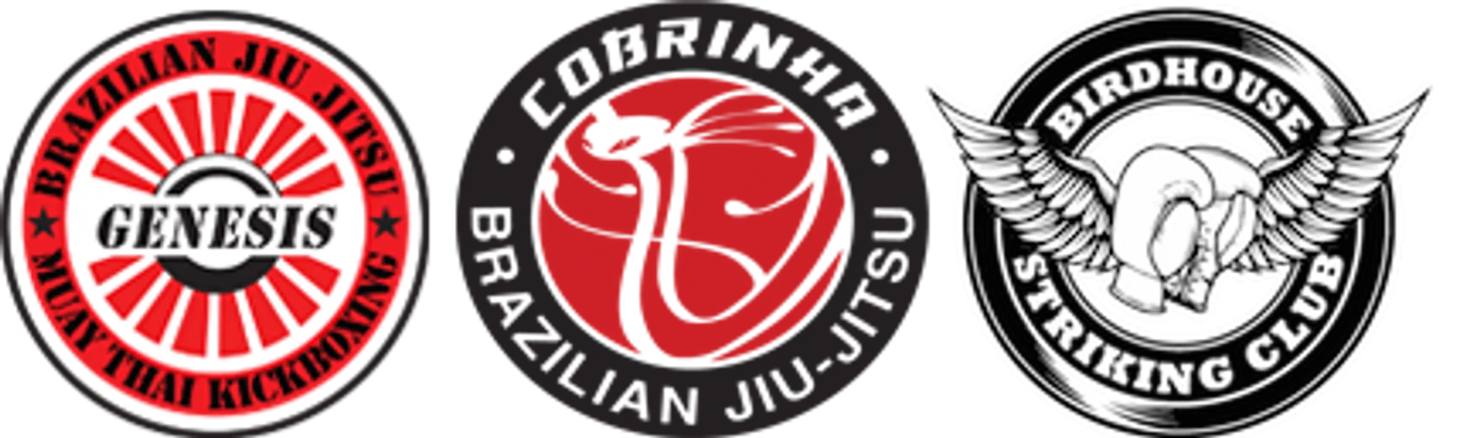 Genesis Martial Arts and Fitness