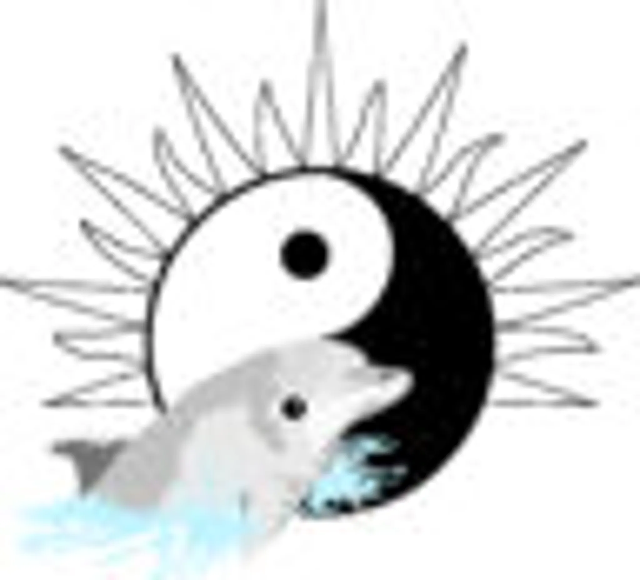 Craniosacral & Shiatsu Therapy By Jennifer Song, RCST