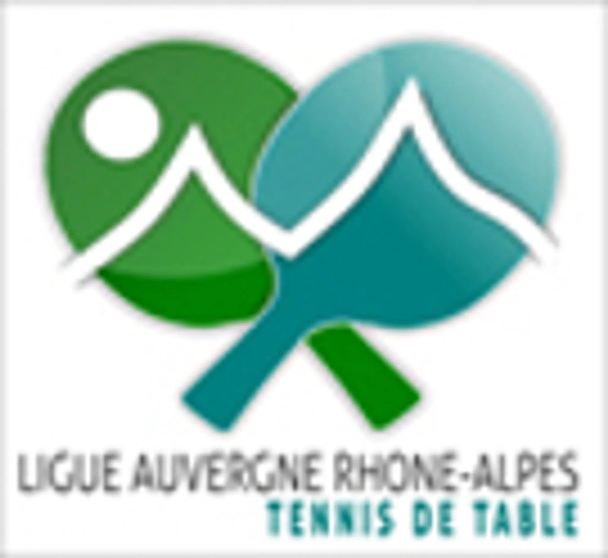 L'association Tennis de Table Saint Denis