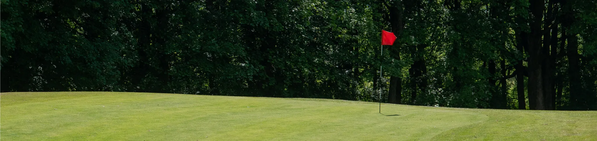 Golf at Haigh Woodland Park