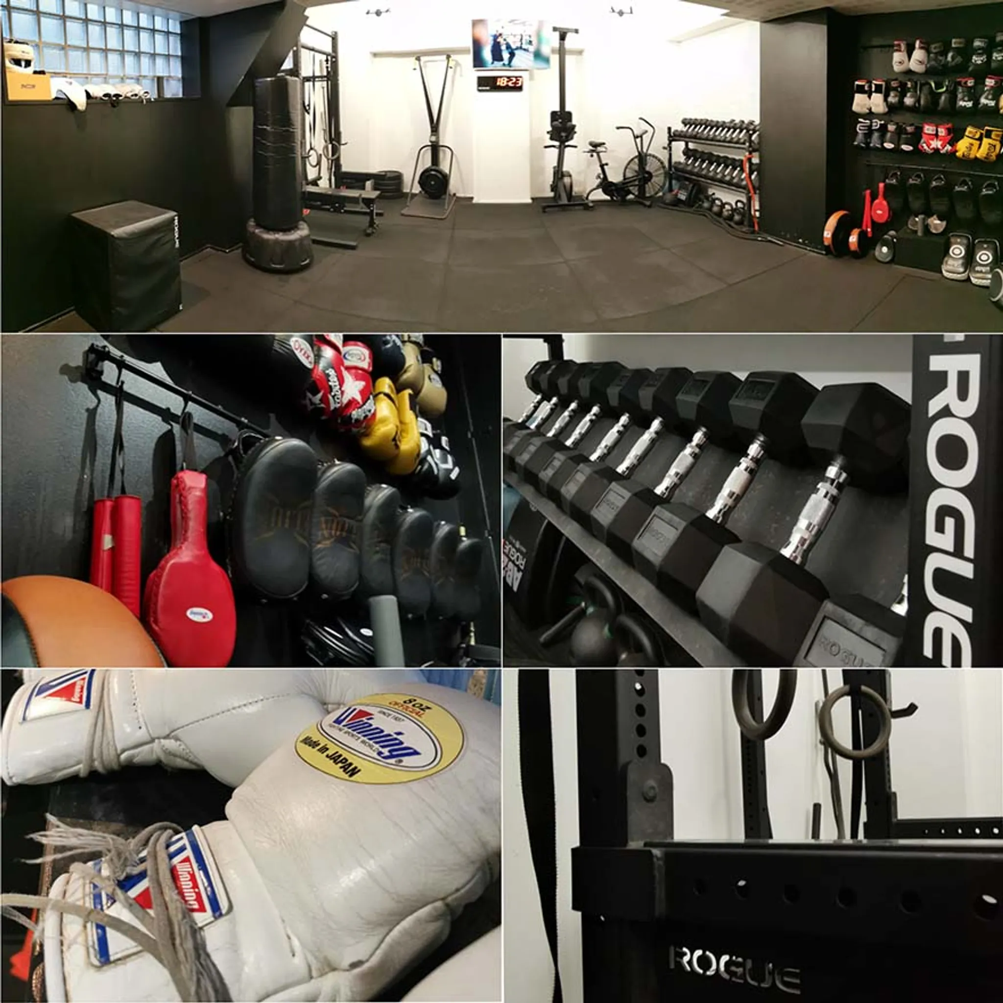 Natural Born Fighters Studio